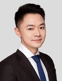 WANG ZHANG